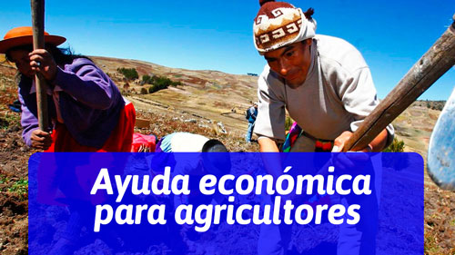 Ayuda económica para agricultores
